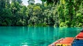 Beautiful lake with clear turquoise water surrounded by green vegetation. Labuhan Cermin, Berau, Indonesia Royalty Free Stock Photo