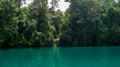 Beautiful lake with clear turquoise water surrounded by green vegetation. Labuhan Cermin, Berau, Indonesia Royalty Free Stock Photo