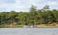 A beautiful lake in Dalat, Lam Dong, Vietnam Royalty Free Stock Photo