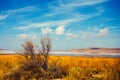 Beautiful lake in desert