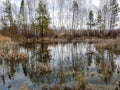 Beautiful lake in the early spring forest with reflection trees and blue sky on the water surface Royalty Free Stock Photo