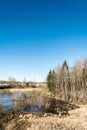 Beautiful lake in the early spring forest with reflection trees and blue sky on the water surface Royalty Free Stock Photo