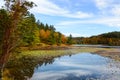 Beautiful lake with floating lily pods in autumn forest. Royalty Free Stock Photo