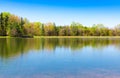 Beautiful lake with forest reflection on sunny spring day. Royalty Free Stock Photo