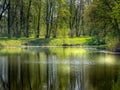 The shore of the lake in the park on a sunny spring day Royalty Free Stock Photo