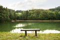 Beautiful lake with green lotus leafs and grass. Royalty Free Stock Photo