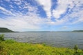 Beautiful lake with green plants under cloudy and blue sky Royalty Free Stock Photo