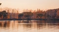 Beautiful lake landscape, birds and sunset. Golden pink waves, horizon line and trees on water Royalty Free Stock Photo