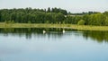 A beautiful lake landscape with two boats that are like swans. Relaxation on a lovely summer day. Around the lake the Royalty Free Stock Photo