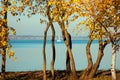 Beautiful lake landscape, yacht, birds and sunset. Blue waves, boat and horizon line on water Royalty Free Stock Photo