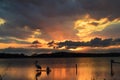 Beautiful Lake Macquarie Sunset Royalty Free Stock Photo