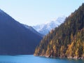Beautiful Lake and Mountain Jiuzhaigou. Nature Reserved. National Park. .Chengdu , Sichuan, China. Royalty Free Stock Photo