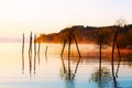 Beautiful lake with mountains in the background at sunrise. Trees in water and morning fog. Royalty Free Stock Photo