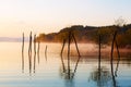 Beautiful lake with mountains in the background at sunrise. Trees in water and morning fog.