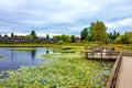 Beautiful lake at Residential District in Abbotsford City Royalty Free Stock Photo