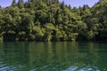 Beautiful Lake Rotoiti