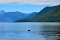 Lake Rotoroa in the Nelson Lakes National Park, New Zealand, South Island Royalty Free Stock Photo