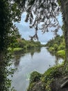 beautiful lake shore, forest and nature walks Cong, county Mayo