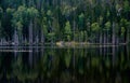 Beautiful lake shore. Nothern landscape, Karelia Royalty Free Stock Photo