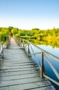 Beautiful lake in summer