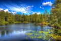 Beautiful lake Tarn Hows National Park England uk near Hawkshead in colourful HDR Royalty Free Stock Photo