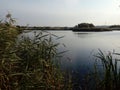 Beautiful lake in Vacaresti Nature Park, Bucharest City, Romania Royalty Free Stock Photo