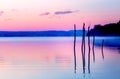 Beautiful lake view in mornig fog with trees and mystic mountains on the background in tender purple-blue tones, with Royalty Free Stock Photo