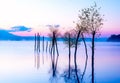 Beautiful lake view in mornig fog with trees and mystic mountains on the background in tender purple-blue tones, with Royalty Free Stock Photo