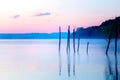 Beautiful lake view in mornig fog with trees and mystic mountains on the background in tender purple-blue tones, with Royalty Free Stock Photo