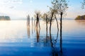 Beautiful lake view in morning fog with mystic mountains and trees as leftovers of a mole in gold - blue tones. Royalty Free Stock Photo