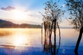 Beautiful lake view in morning fog with mystic mountains and trees as leftovers of a mole in gold, purple - blue tones Royalty Free Stock Photo