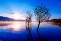 Beautiful lake view in morning fog with mystic mountains and trees as leftovers of a mole in purple - blue tones. Royalty Free Stock Photo