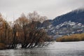 Beautiful Lake Wakatipu willow trees