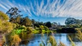 Beautiful lakes everywhere set amongst lush woodland and plants at Pemberton WA