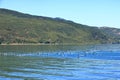 Beautiful lakeshore landscape at lake ohrid (near Lin village), Albania Royalty Free Stock Photo