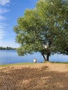 beautiful lakeside, beach, blue sky, sand and tree