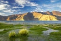 beautiful lakeside landscape with distant mountains and grassland in foreground