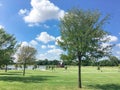 Beautiful lakeside park with community pavilion in Coppell, Texas, USA