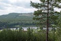 Beautiful lakeside view from a small lake in Sweden, with lush green trees, blue sky and sunlight Royalty Free Stock Photo