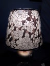 Beautiful lamp for light decorated piece decorate home