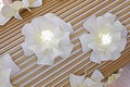 beautiful lamps flowers in a stylish Royalty Free Stock Photo