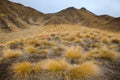 Beautiful land scape of grass tufts mountain in waitaki distric