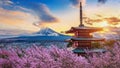 Beautiful landmark of Fuji mountain and Chureito Pagoda with cherry blossoms at sunset, Japan. Spring in Japan Royalty Free Stock Photo