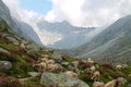 beautiful landscape of adamello valley with a flock of goats grazing in the grass