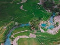 Aerial view ricefield, sumba island, east nusa tenggara indonesia