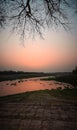 A beautiful landscape at afternoon beside a river bank during golden hours