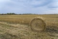 Beautiful landscape. Agricultural field. Round bundles of dry grass in the field against the blue sky. Bales of hay to feed cattle Royalty Free Stock Photo