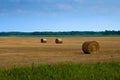 Agricultural field with Round Bales of hay to feed cattle in winter Royalty Free Stock Photo
