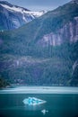 Beautiful landscape in alaska mountains Royalty Free Stock Photo