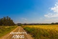 Beautiful landscape in algeria, mascara sunset and mountains, opportunity ahead painted on street. Royalty Free Stock Photo